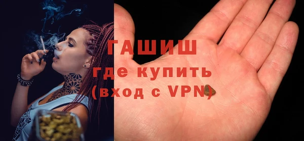 хмурый Магас