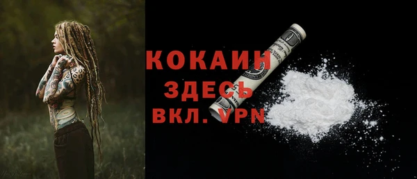 индика Майский