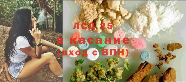 хмурый Магас