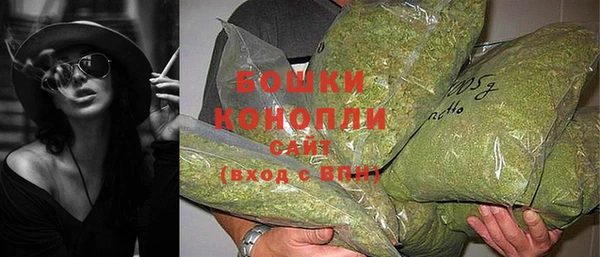 индика Майский