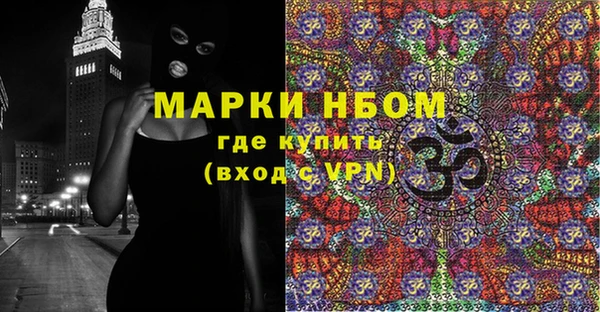 хмурый Магас