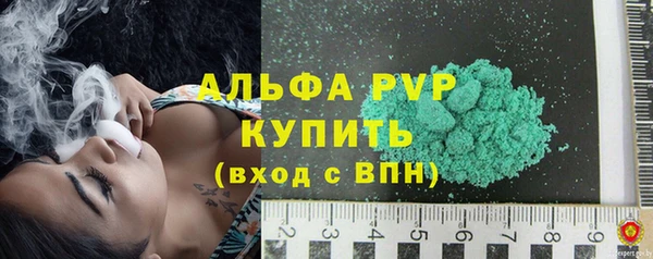 хмурый Магас