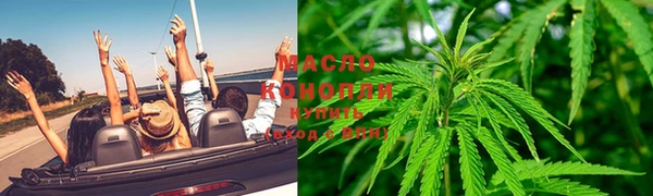 индика Майский