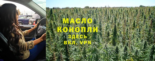 хмурый Магас